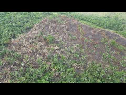 Fazenda á venda – Região da Cachoeirinha Véus das Noivas  – Araguaína-TO