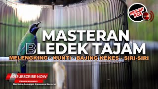 Download lagu 🔴Masteran Bledek Tajam Nyentak Kunti Bajing Kekes Materi Mewah Cucak Cungkok Full Isian mp3