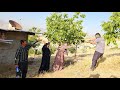 Emotions And Tension Amir And Shahnaz S Reaction When Nazanin Left In Distress