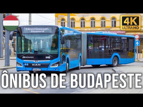 Public Bus Transport System in Budapest/Hungary