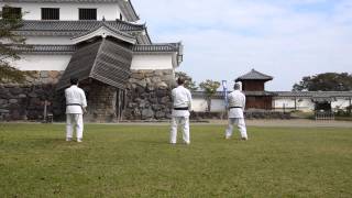 preview picture of video 'Sesan Okinawa Goju-ryu Karate-do 十三手 セーサン 沖縄剛柔流空手道 無心舘 白石城での野外稽古'