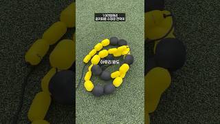 평생 살면서 처음 본 골키퍼전용 수영장칸막이ㄷㄷ