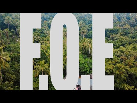 Piers James - F.O.E (FORM OF EXPRESSION) Visualiser