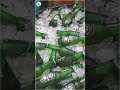 Open The Tasmac Song WhatsApp Status Maan Karate ️Anirudh Drinking VJ Tamil Trending