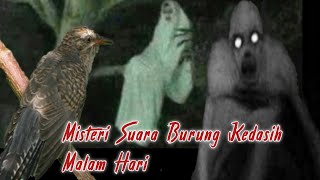 Download lagu Misteri Menyeramkan, Suara Burung Kedasih Malam Hari Menyeramkan || anak kecil pasti langsung tidur mp3 Download lagu Misteri Menyeramkan, Suara Burung Kedasih Malam Hari Menyeramkan || anak kecil pasti langsung tidur mp3