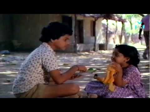 Chellivaina Video Song  - Seethamma Pelli