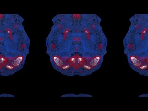 Experimental Animation - Kaleidoscope Attempt
