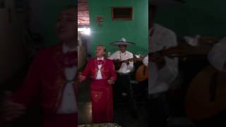 Mariachis Sol Azteca MALAGUEÑA