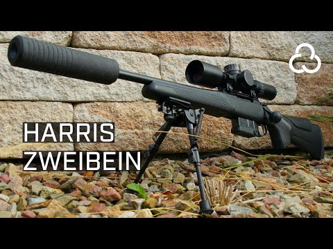 Harris Zweibein - Darauf musst du achten