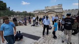 השתחוויה המונית מרגשת ליד שער הרחמים בהר הבית. חובה לטבול לפני העלייה! (הערוץ של ישיבת הר הבית) - התמונה מוצגת ישירות מתוך אתר האינטרנט יוטיוב. זכויות היוצרים בתמונה שייכות ליוצרה. קישור קרדיט למקור התוכן נמצא בתוך דף הסרטון