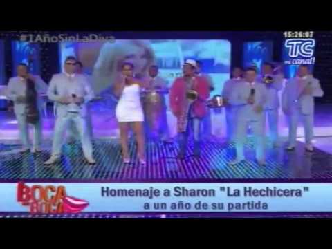 D'Franklin Band   Homenaje a Sharon   Por que Dios Mio Bass Marcelo Lopez