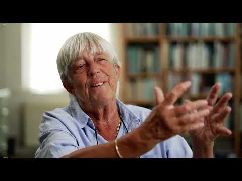 Holland in Not: Die große Flutkatastrophe von 1953 - Dokumentation Deutsch