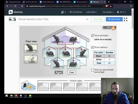 Mouse Genetics Virtual Day Primer