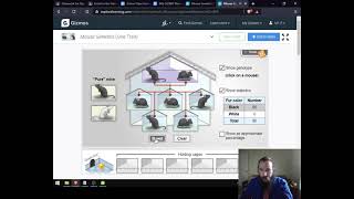 Mouse Genetics Virtual Day Primer