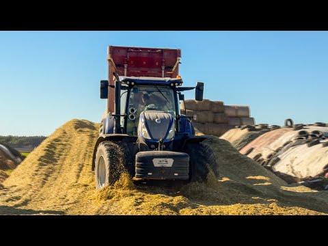 NOWE NABYTKI w AKCJI! 🔥 OPOROWA KUKURYDZA 2025 w GR Soszyński!