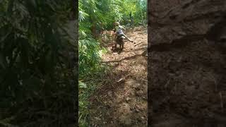 Download lagu story wa terbaru 2020 keren || Palangkaraya Hard Enduro 2020 || story wa motor trail || motocross mp3 Download lagu story wa terbaru 2020 keren || Palangkaraya Hard Enduro 2020 || story wa motor trail || motocross mp3