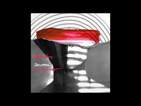 Zeilstra ft. Baas B - Regenboog