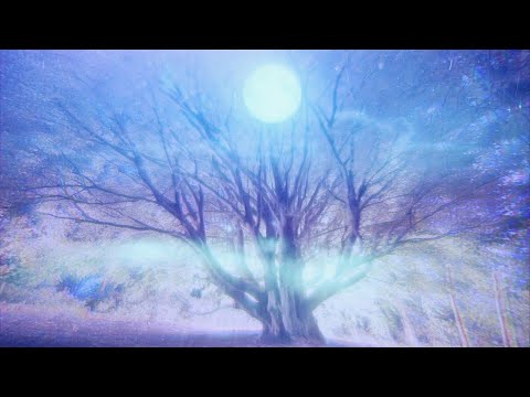 The Watanabes - Christmas Hummingbird