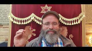 זרא שמשון - פרשת וייצי 5785 - רבי שלמה רסקין