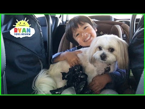 Ryan and Ella play at the playground park for kids!! Video