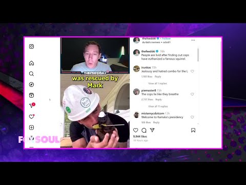 PNut The Racoon Euthanized, Fake Harris Supporters, Pandering to Black Voters