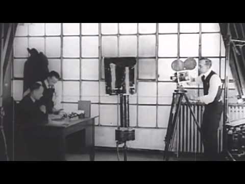 Tarzan: Lord of the Louisiana Jungle : TRAILER