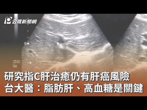 youtube影片