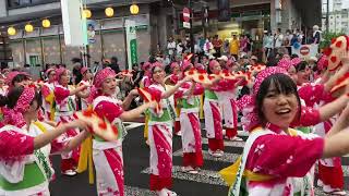 日本東北山形花笠祭，花笠舞遊行：山形厚生看護學校。