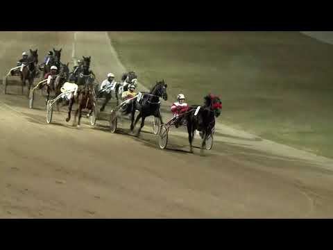 2018.12.31. 07. futam - PEGAZUS MAGAZIN - PATKÓ DÍJ