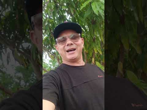 balneário retiro em são Miguel da baixa grande