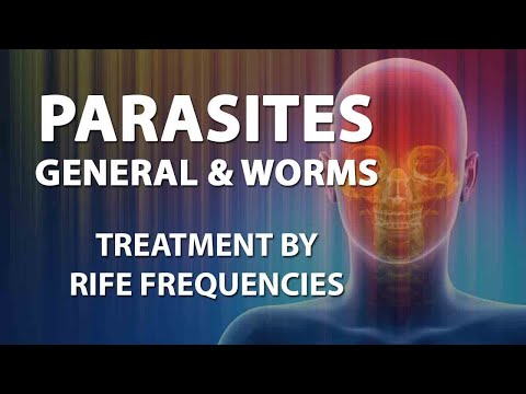 Fascioliasis stressz