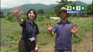 もみじチャンネル 2025年7月第2週／・特ダネ！農業王国（有機農業研究会について）・博物館だより（夏の美術資料紹介）・町のお知らせ（リチウムイオン電池の正しい捨て方）