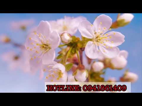 BOOKING CĂN HỘ BIỂN QUY NHƠN TAKASHI OCEAN SUITE - QUY NHƠN