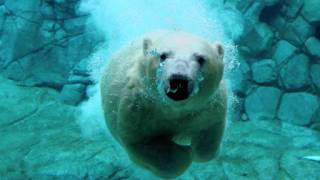 Groove Armada - Song 4 Mutya (Boris Dlugosch Remix)