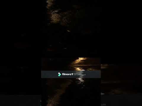 Fikoł - Moja Natura (Prod. by RUSKY)