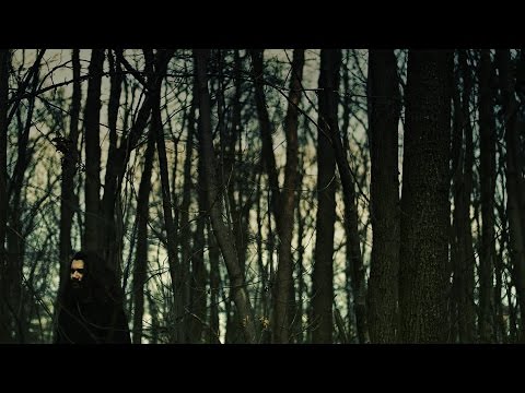 Tom Waits - All The World is Green (cover by Fedja Poldruhi)