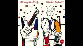 cartridge VAN DEN HUL,balanced output /ADRIAN BELEW  - I'm Down / VINYL