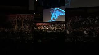 Download lagu Titanic LIVE 2022 (6) mp3