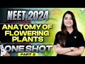 Anatomy Of Flowering Plants One Shot Part 2 NEET 2024 Seep Pahuja