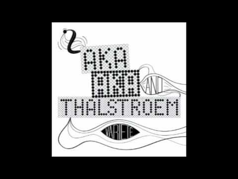 AKA AKA ft Thalstroem - What Matters HD