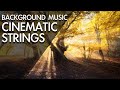 Amazing & Beautiful Cinematic Background Music ...