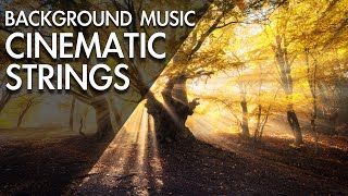 Amazing & Beautiful Cinematic Background Music For Videos