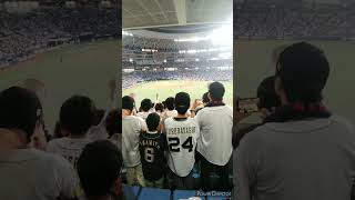 2024 3/6 侍ジャパン 中野拓夢＆森下翔太 応援歌