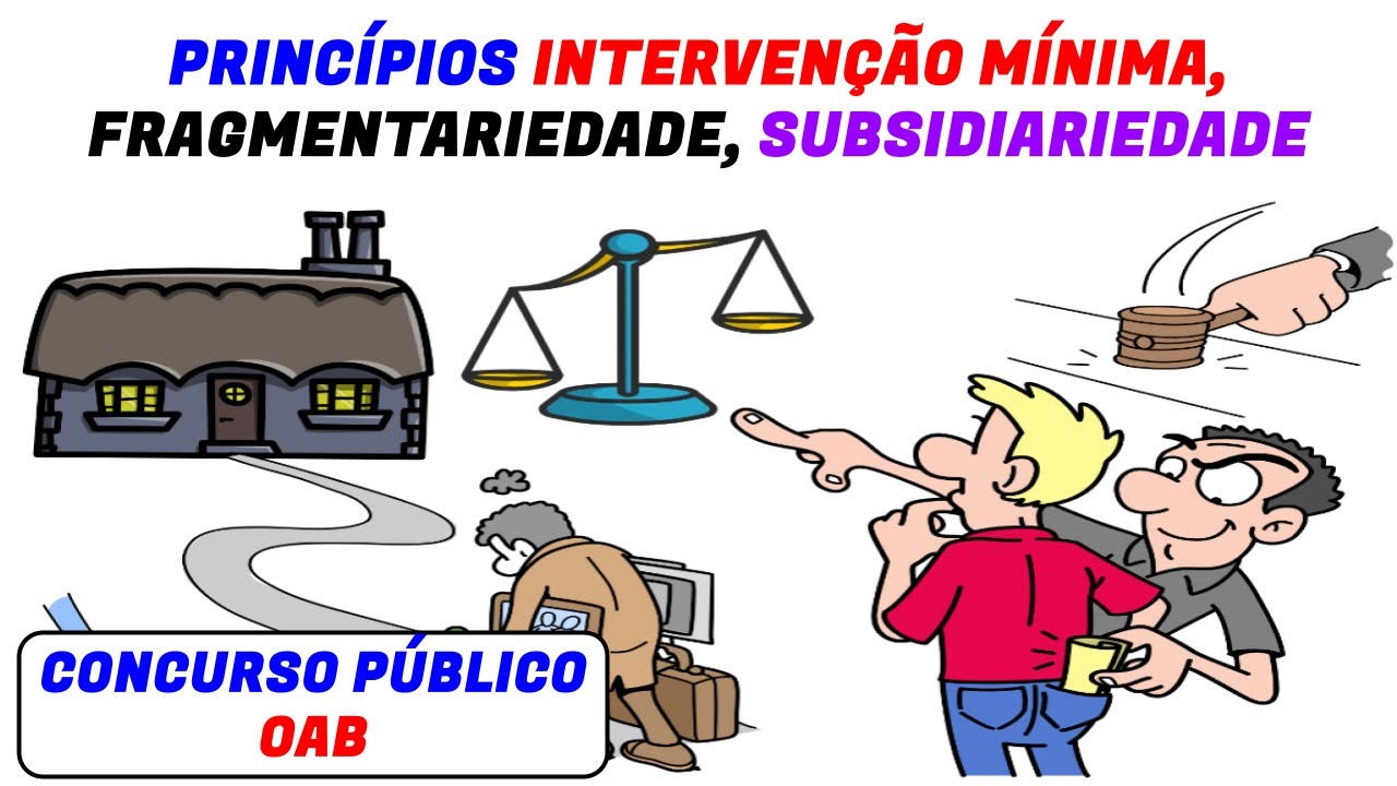 Lesson 4: Principles of Minimum Intervention, Fragmentarity and Subsidiarity