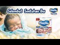 Untuk Bayi Baru Lahir Kelembutan No 1 Dari MamyPoko Royal Soft