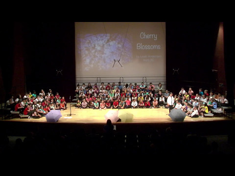 2017 2nd - 3rd Grade Spring Concert