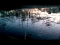 Бобер, выдыхай! 
