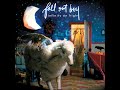 Fall Out Boy The Carpal Tunnel Of Love