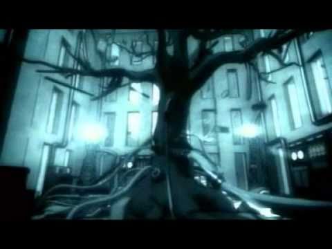 Eisblume - Eisblumen