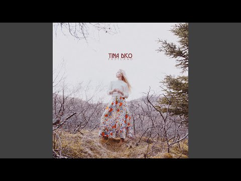 Not Even Close - Tina Dico